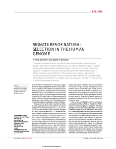 signatures of natural selection in the human