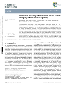 Differential protein profile in sexed bovine semen: shotgun