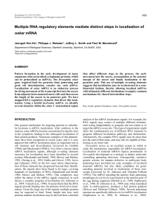 Multiple RNA regulatory elements mediate distinct