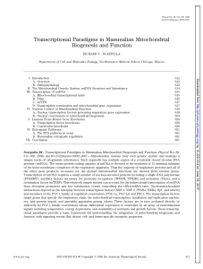 Transcriptional Paradigms in Mammalian Mitochondrial Biogenesis