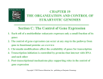 Section C: The Control of Gene Expression