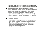 Reproductive/developmental toxicity