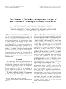 The Octopus: A Model for a Comparative Analysis of the Evolution of