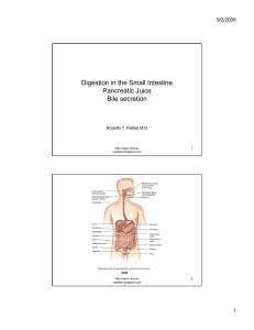 Digestion in the Small Intestine Pancreatic Juice Bile secretion