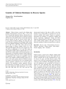 Genetics of Clubroot Resistance inBrassicaSpecies | SpringerLink
