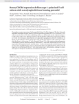 Bonzo/CXCR6 expression defines type 1–polarized T