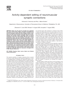 Activity-dependent editing of neuromuscular synaptic connections