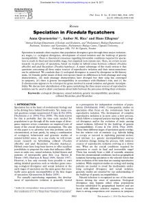 Speciation in Ficedula flycatchers - Philosophical Transactions of