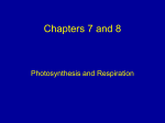 Bio102 Chapter 7