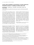 Central carbon metabolism of Saccharomyces
