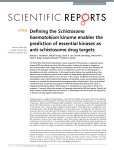 Defining the Schistosoma haematobium kinome enables the