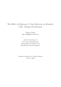 The Effect of Influenza A Viral Infection on Dendritic Cells` Antigen