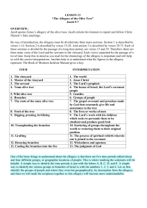 LESSON 13 “The Allegory of the Olive Tree” Jacob 5