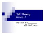 Cell Theory - Shelly`s Science Spot