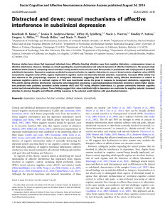 neural mechanisms of affective interference in subclinical depression