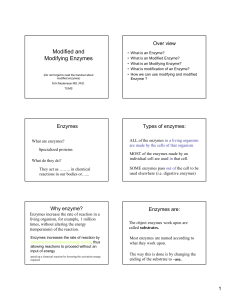 Modified and Modifying Enzymes