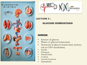 • Sources of glucose • Phases of glucose homeostasis • Hormones