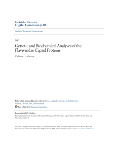 Genetic and Biochemical Analyses of the Flaviviridae Capsid Proteins