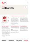 IgA Nephritis fact sheet - Kidney Health Australia