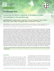 Uncovering the defence responses of Eucalyptus to pests and