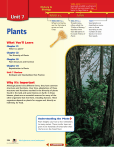 Chapter 21: What is a plant?