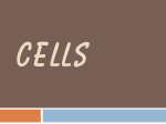 Eukaryotic cells