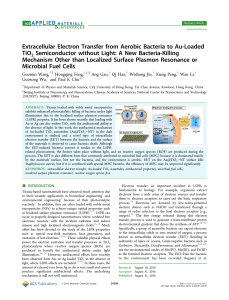 Extracellular electron transfer from aerobic bacteria to Au loaded