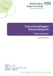 Trans-Oesophageal Echocardiogram