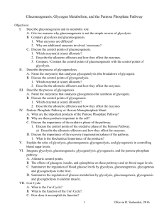 Gluconeogenesis, Glycogen Metabolism, and the Pentose