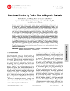 Functional Control by Codon Bias in Magnetic Bacteria