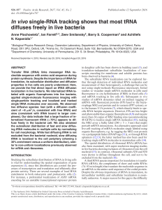 In vivo single-RNA tracking shows that most tRNA diffuses freely in