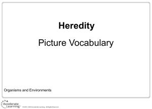Heredity Picture Vocabulary