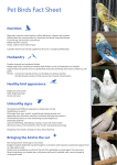 Pet Birds Fact Sheet - Southcrest Veterinary Centre