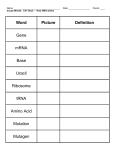 Word Picture Definition Gene mRNA Base Uracil Ribosome tRNA