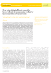 Neurophysiological involvement in hypervolemic hyponatremia