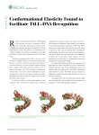 318 Conformational Elasticity Found to Facilitate TALE