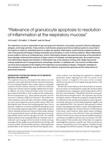 Relevance of granulocyte apoptosis to resolution of