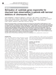 Delineation of candidate genes responsible for structural brain