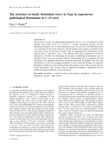 The structure of steady detonation waves in Type Ia supernovae