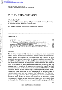 The TN5 Transposon - Biochemistry | UW-Madison