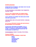 STAPHYLOCOCCUS GRAM POSITIVE SPHERICAL BACTERIA