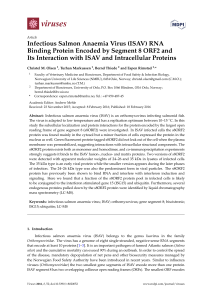 Infectious Salmon Anaemia Virus (ISAV) RNA Binding Protein