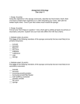 Work sheet as a pdf file