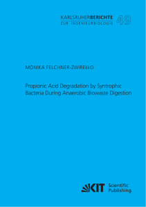 Propionic Acid Degradation by Syntrophic Bacteria During