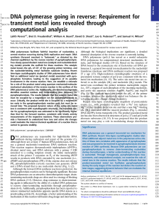 DNA polymerase going in reverse: Requirement for transient metal