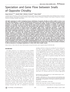 Speciation and Gene Flow between Snails of Opposite Chirality