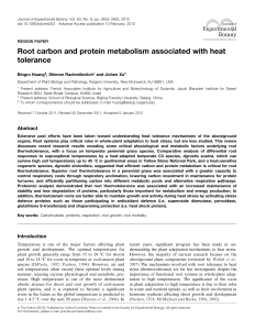 Root carbon and protein metabolism associated with heat tolerance