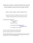 Targeted gene inactivation in Clostridium phytofermentans shows