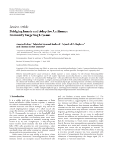 Review Article Bridging Innate and Adaptive Antitumor Immunity