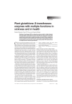 Plant glutathione S-transferases: enzymes with multiple functions in